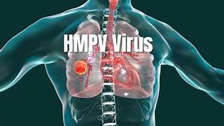 INFEZIONE DA HMPV: COSA BISOGNA SAPERE